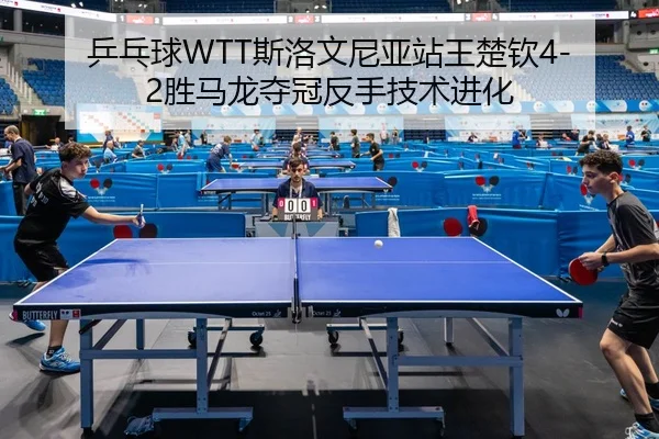 ping-pang-qiu-si-luo-wen-ni-ya-zhan-wang-chu-qin-sheng-ma-long-duo-guan-fan-shou-ji-shu-jin-hua-2-268.jpg
