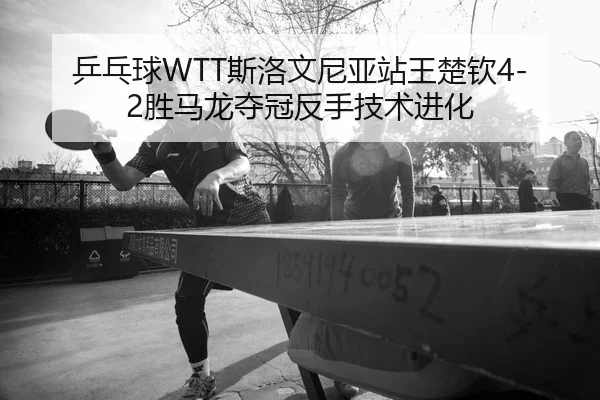 ping-pang-qiu-si-luo-wen-ni-ya-zhan-wang-chu-qin-sheng-ma-long-duo-guan-fan-shou-ji-shu-jin-hua-3-912.jpg